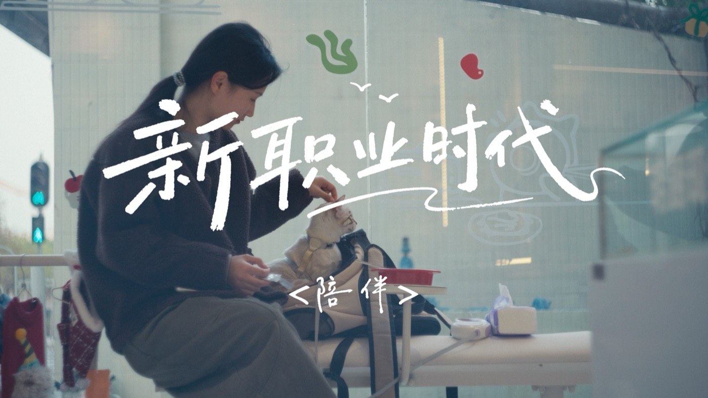 《新职业时代》画面